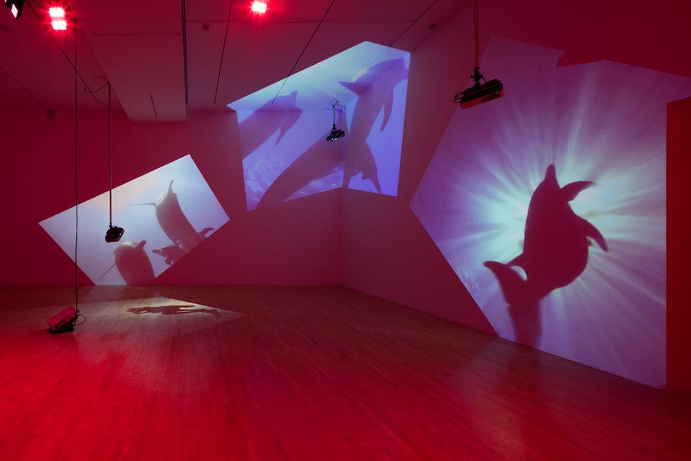 red illuminated room with four projections on the walls and floor in open space gallery