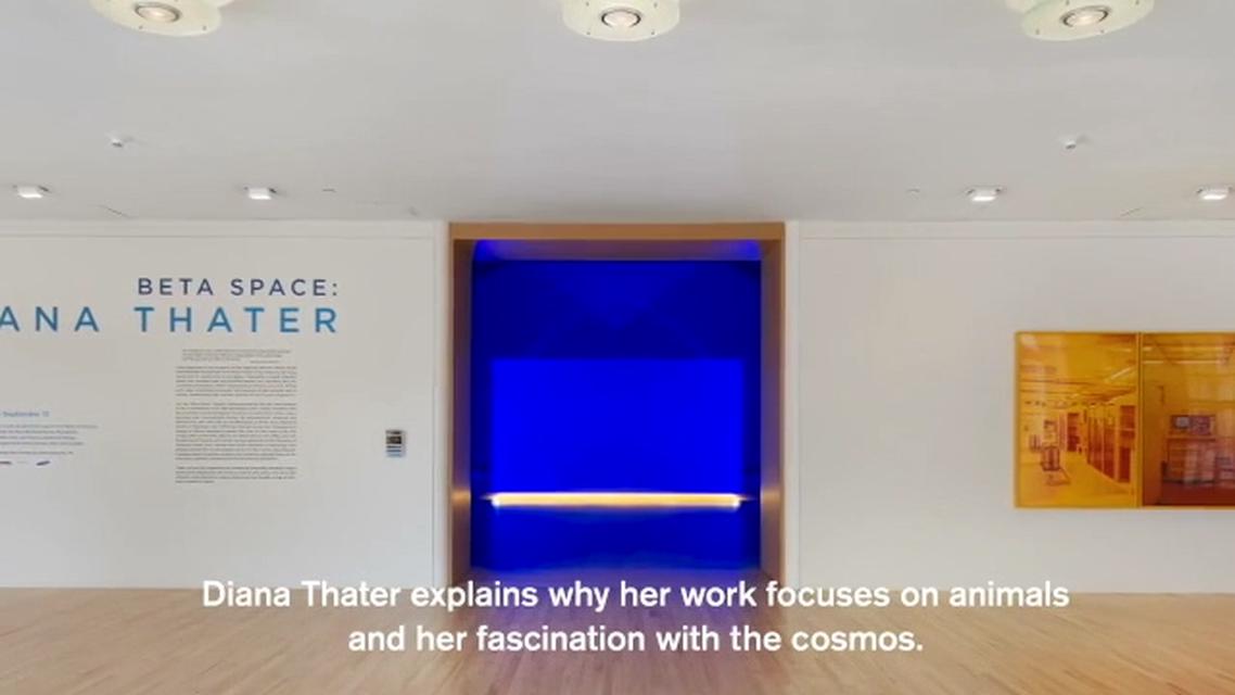 Clip from Diana Thater’s "Creative Minds" artist talk on the occasion of the exhibition *Beta Space: Diana Thater*, San José Museum of Art, April 23, 2015.