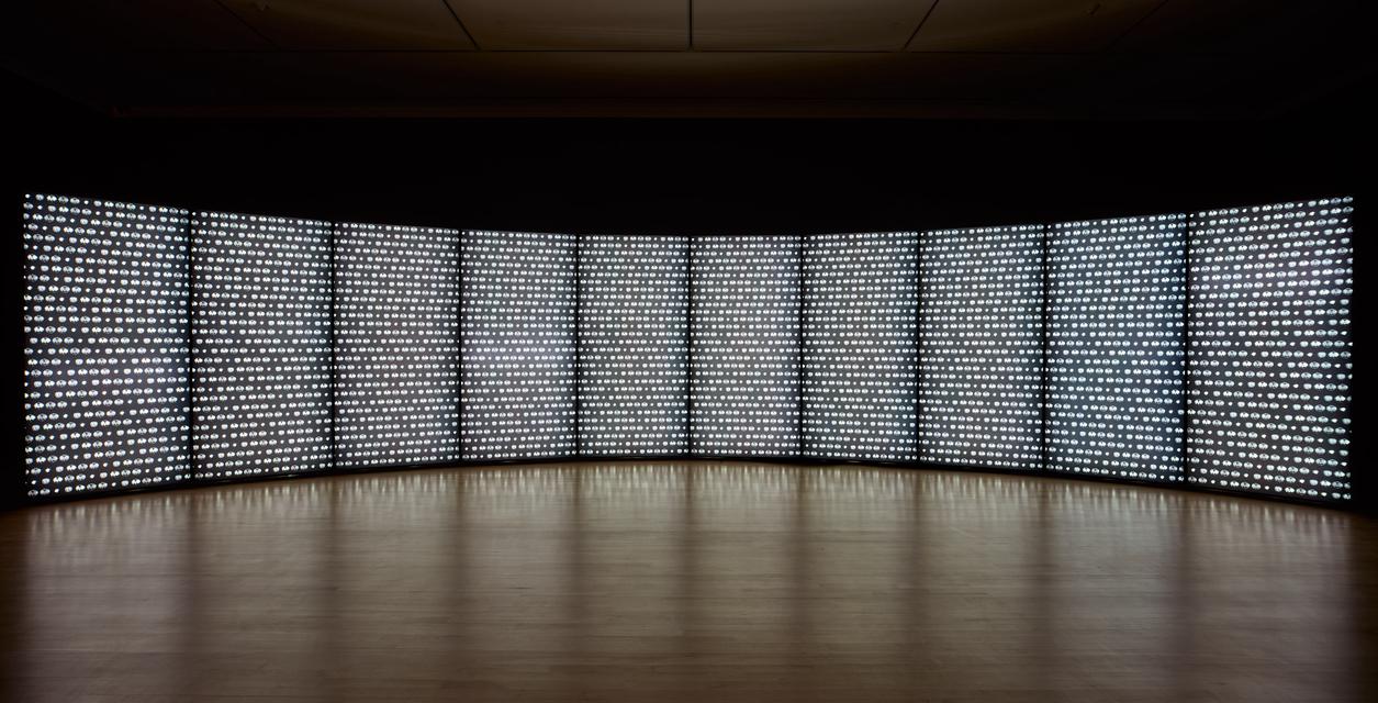 Catherine Wagner, *Pomegranate Wall*, 2000. Ten light boxes with printed duratrans, fluorescent lights, and metal frame, 96 x 480 inches.